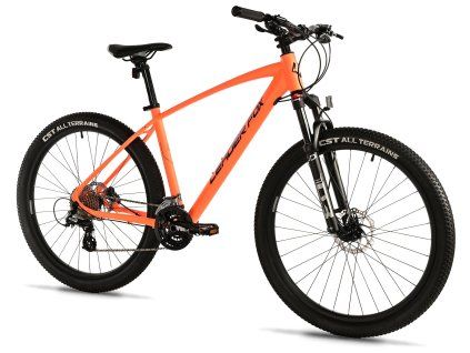 Evolution orange 1 (1)