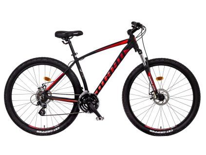 mayo xc 29 basic lite d