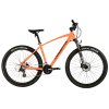 Evolution orange 1 (2)
