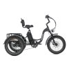 jobobike electric tricycle triker black converted from webp