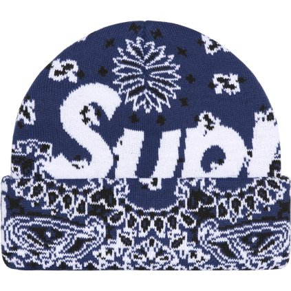 Big Logo Beanie navy bandana 1
