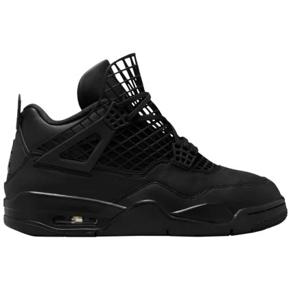 Jordan 4 Retro Net Black (W) 1
