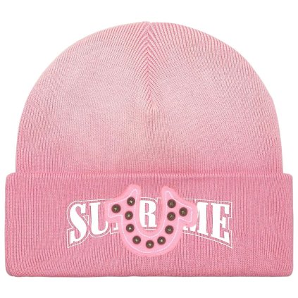Supreme True Religion Beanie (FW25) Pink