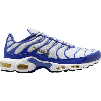 Nike Air Max Plus 1 (6)
