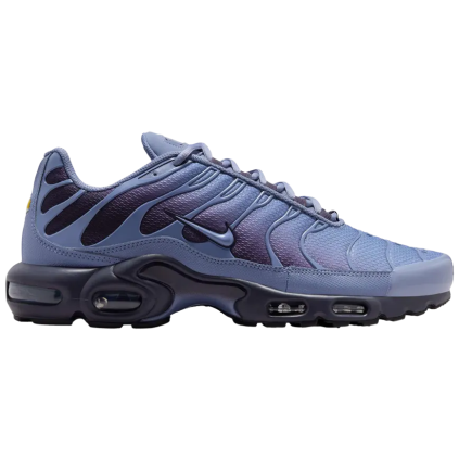 Nike Air Max Plus World Indigo 1