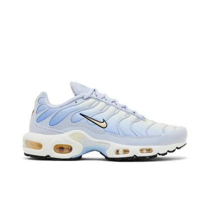 Nike Air Max Plus Daybreak (W) 1