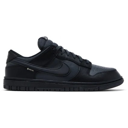 Nike Dunk Low Gore Tex Triple Black 1