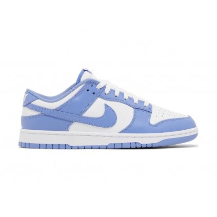 Nike Dunk Low Polar Blue 1