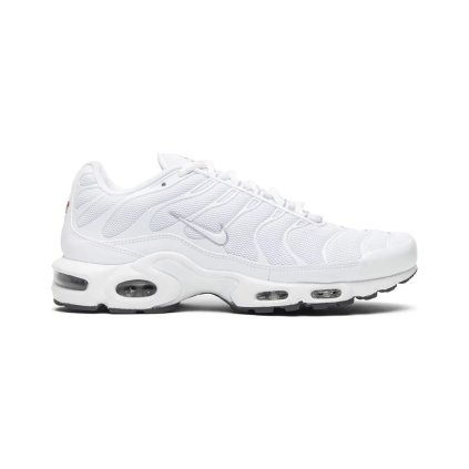 Nike Air Max Plus White 1