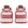 Nike Dunk Low Next Nature Aster Pink (W) 4