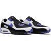 Nike Air Max 90 Persian Violet 2