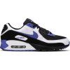 Nike Air Max 90 Persian Violet 1