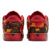 Nike SB Dunk Low The Wizard of Oz Poppy Field 4