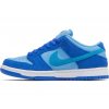 Nike SB Dunk Low Blue Raspberry 3
