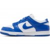 Nike Dunk Low SP Kentucky (2020 2022) 3