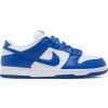 Nike Dunk Low SP Kentucky (2020 2022)