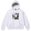 Supreme ANTIHERO Hooded Sweatshirt (FW25) Ash Grey 1