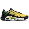 Nike Air Max Plus 1 (5)
