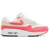 Nike Air Max 1 Aster Pink (Women's) 1
