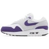 Nike Air Max 1 SC Field Purple 2