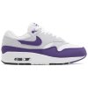 Nike Air Max 1 SC Field Purple 1