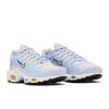 Nike Air Max Plus Daybreak (W) 2