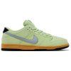 Nike SB Dunk Low Verdugo Mountain 1
