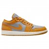 Air Jordan 1 Low Cement Grey Chutney (W) 1