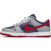 Nike Dunk Low Co.JP Samba (2020) 3