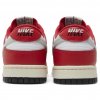 Nike Dunk Low Chicago Split 3