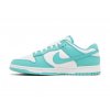 Dunk Low Clear Jade 3
