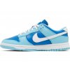 Nike Dunk Low Retro QS Argon (2022) 3