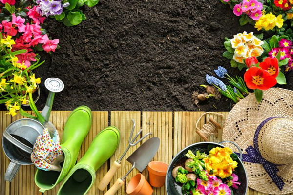 Jarné práce v záhrade – kde začať?