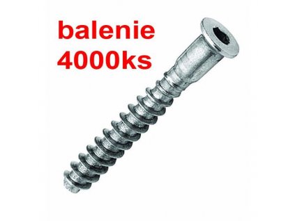 Konfirmát 5 x 50 mm chróm 2673-3 AKCIA balenie 4000ks