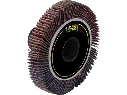 FARTOOLS lamelový kotúč pre REX 60 110875