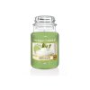 VONNÁ SVÍČKA YANKEE CANDLE VANILLA LIME CLASSIC VELKÝ