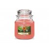 VONNÁ SVÍČKA YANKEE CANDLE THE LAST PARADISE CLASSIC STŘEDNÍ