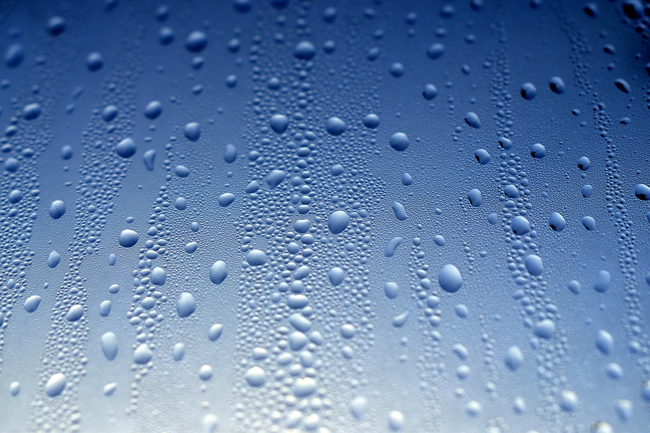 Rosia sa vám okná?