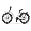 MSENERGY eBike c102