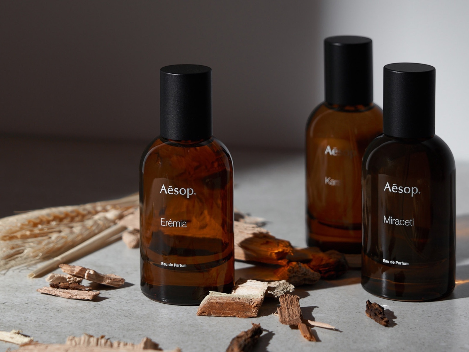Aesop-magazin-img-05