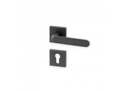 AGA00170 ACT Dverni kovani Design Organic RHR PZ grafit lak struktura