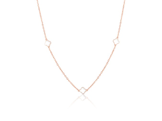 41477 large (1)