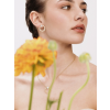 preciosa