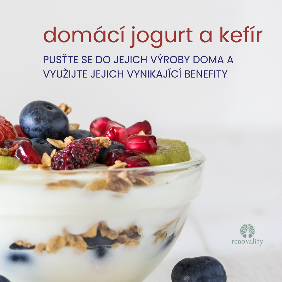 Proč se dát na výrobu domácího jogurtu nebo kefíru?