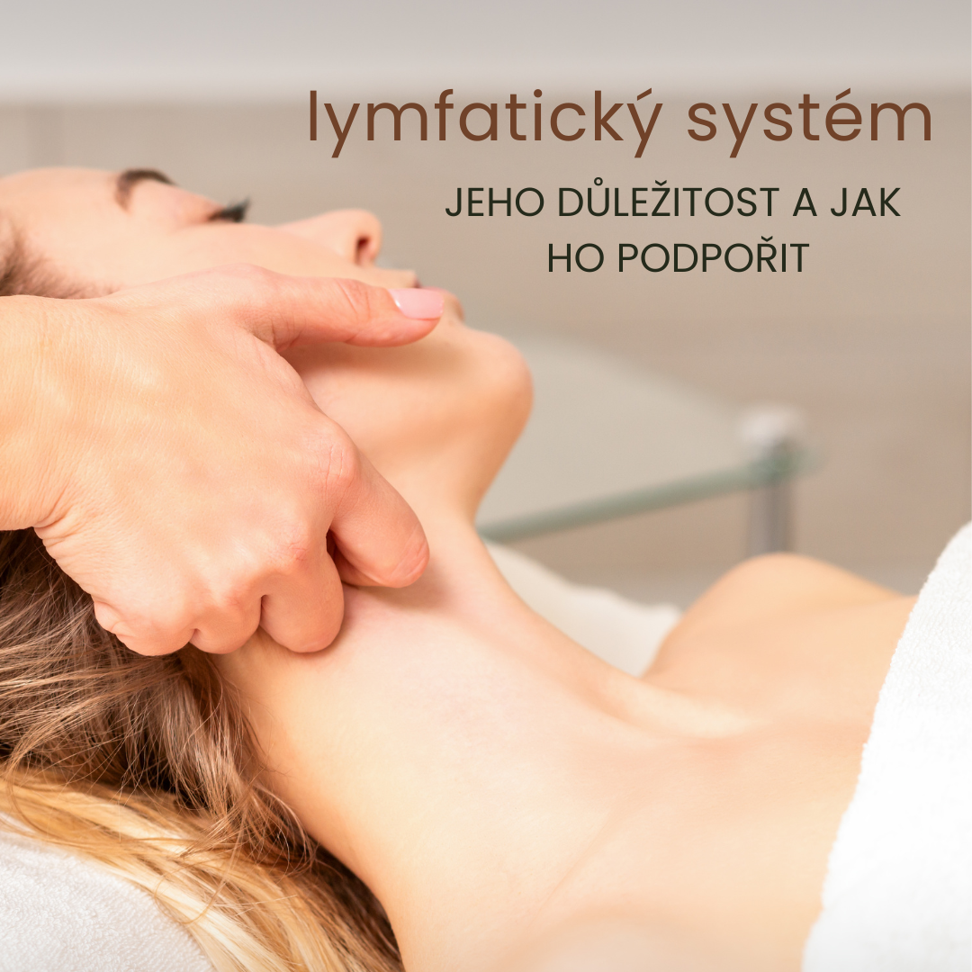 Proč je důležitý lymfatický systém a jak ho podpořit?