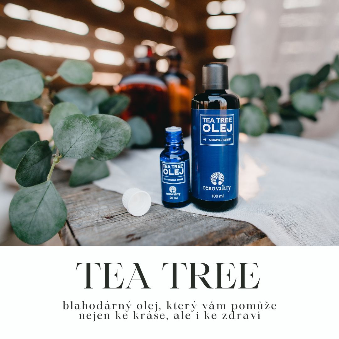 Australský zázrak jménem Tea Tree