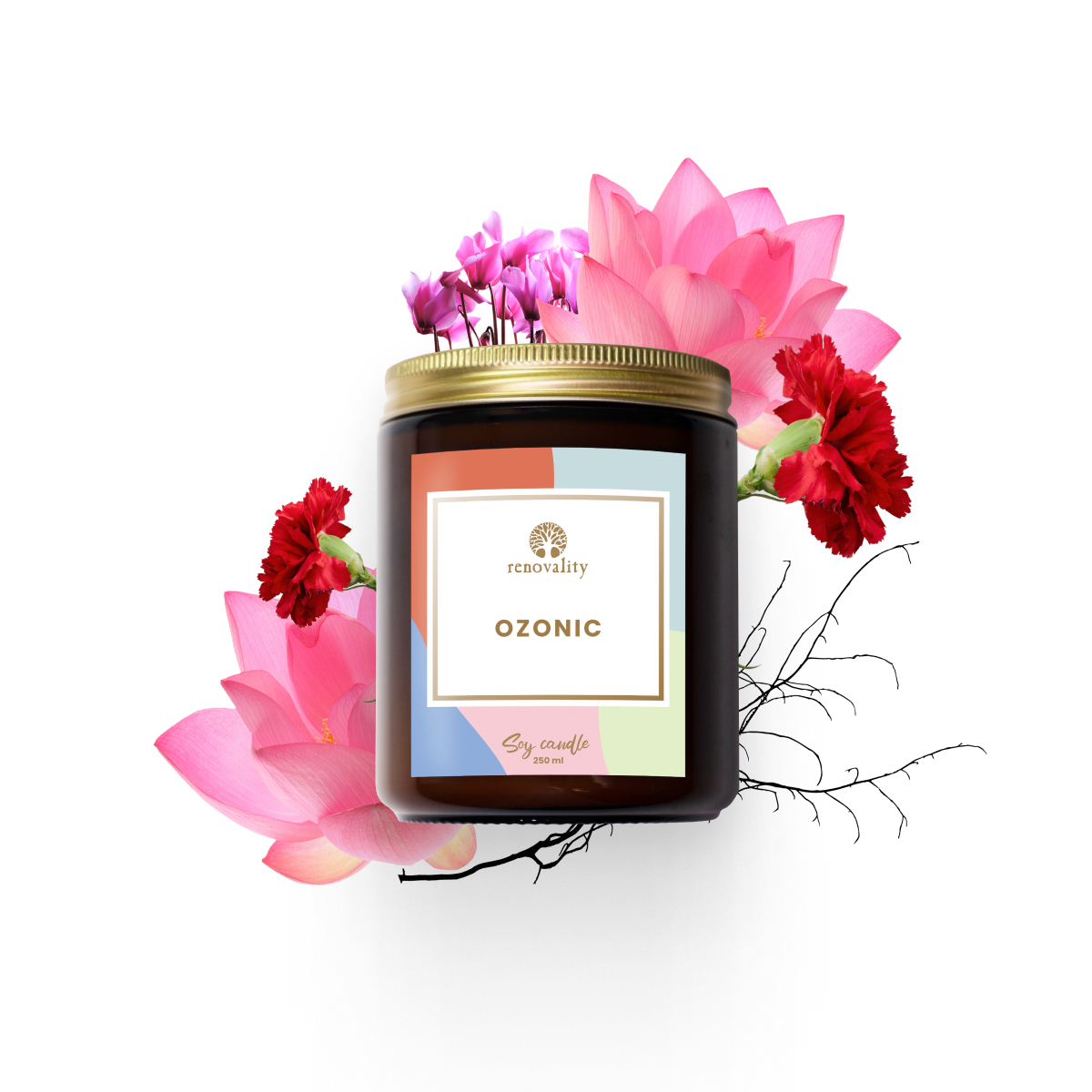 Renovality Ozonic – sójová svíčka 250 ml