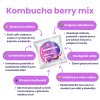 Kombucha Real Bubble Berry Mix + Grapefruit