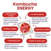 Kombucha Energy