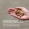 slozeni maitake renovality cz